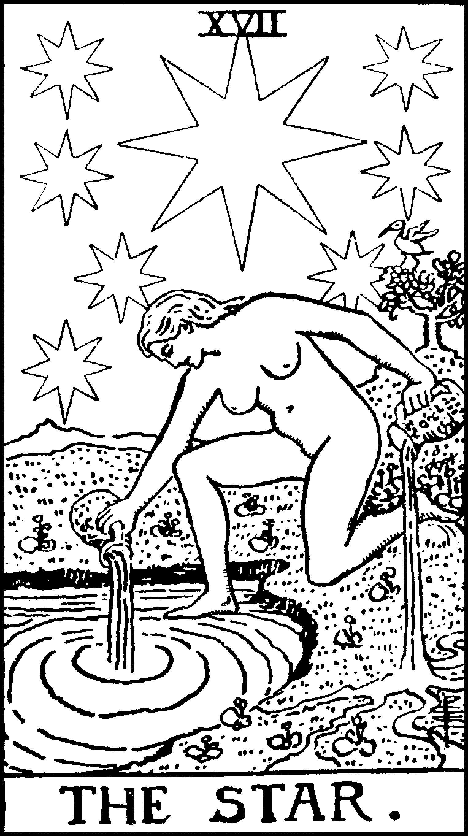The Star