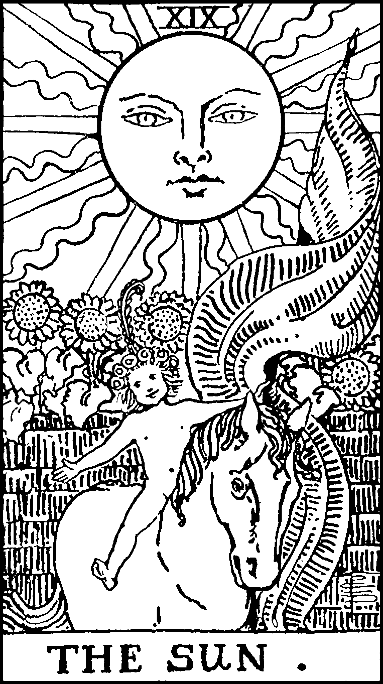 The Sun