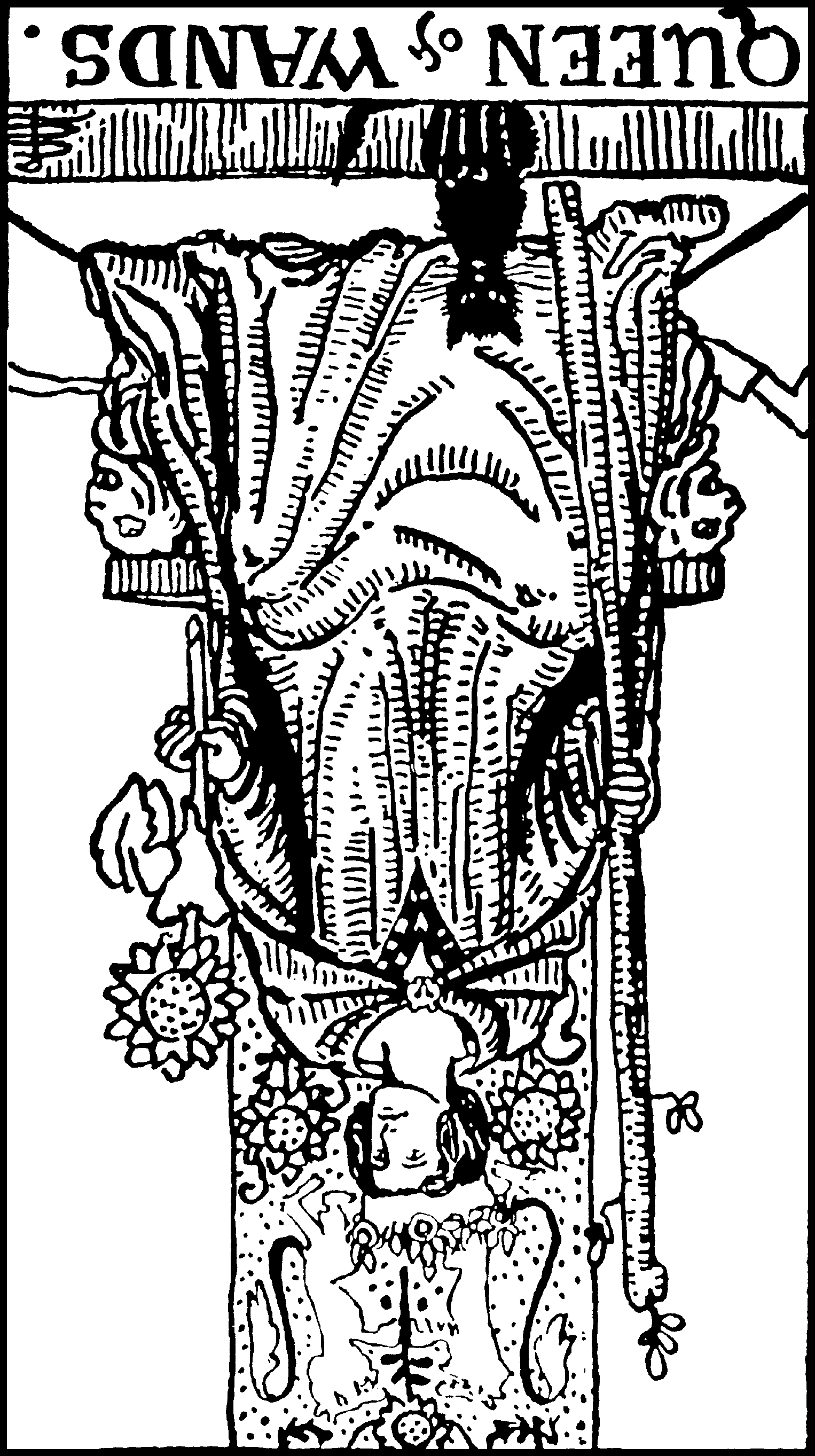 Queen of Wands (reversed)